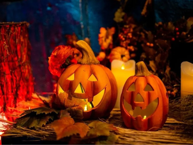 🎃ハロウィン向けの動画素材の作成をしていただける方を募集👻【インスタベース】撮影・ハロウィンパーティー・お菓子作り🍩🍬 - 8